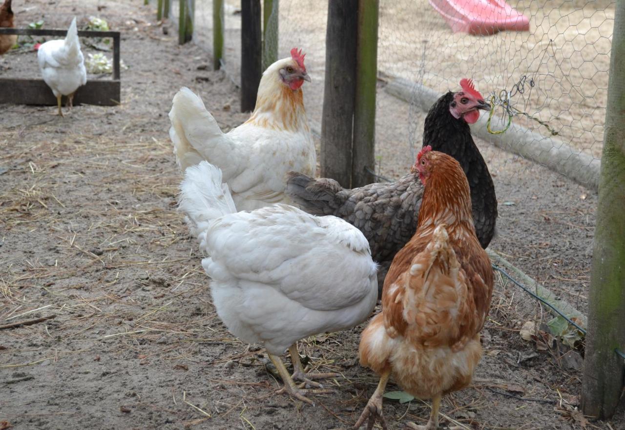 Ferienanlage Duhnen Cuxhaven Zewnętrze zdjęcie